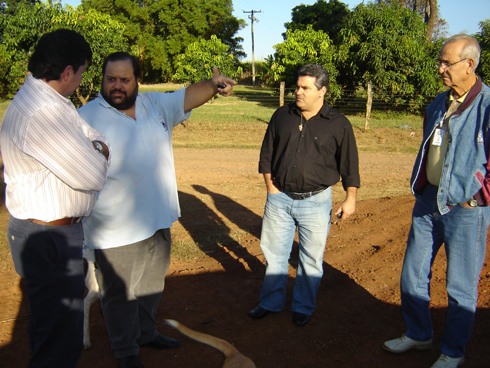 João Picoli, Baxola, Marcelo Otaviano e Ridmer Rodrigues